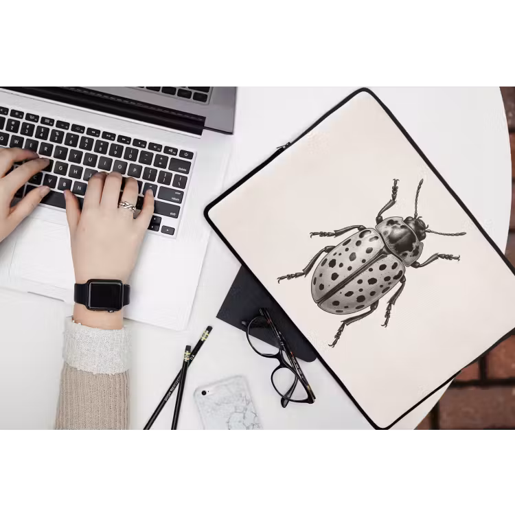 Laptophoes - Kever - Insect - Vintage — 3