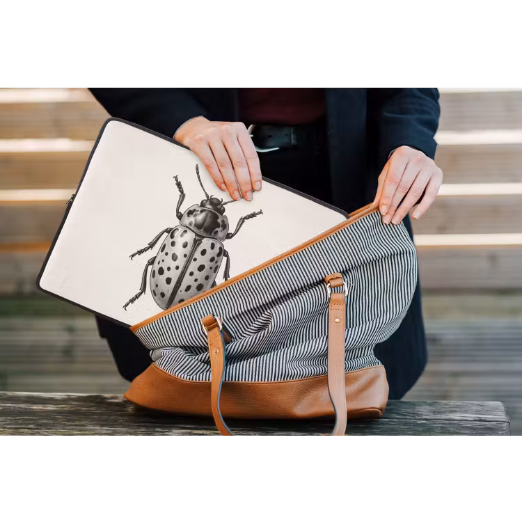 Laptophoes - Kever - Insect - Vintage — 4