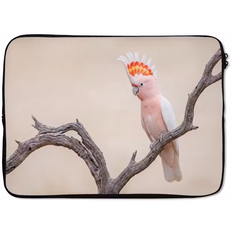 Laptophoes - Papagaai - Tak - Roze — 1