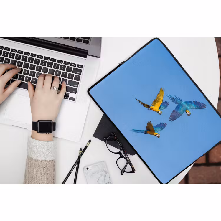 Laptophoes - Papagaai - Vliegen - Blauw - Geel — 3