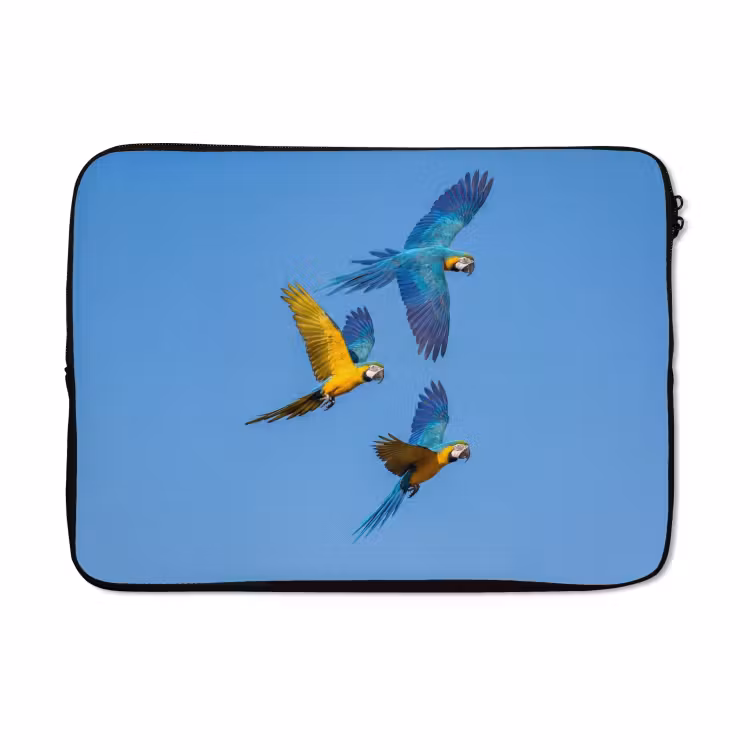 Laptophoes - Papagaai - Vliegen - Blauw - Geel — 5