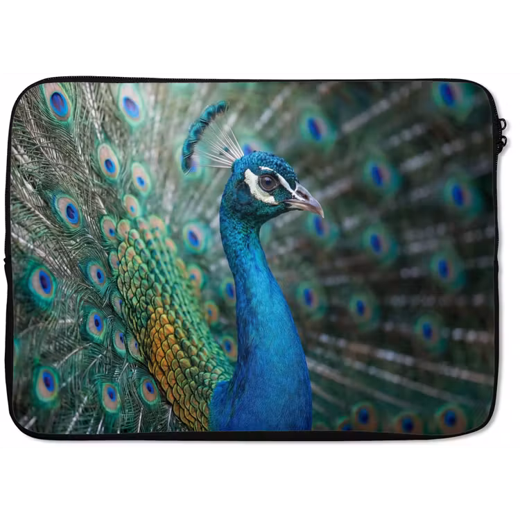 Laptophoes - Pauw - Veren - Blauw — 1