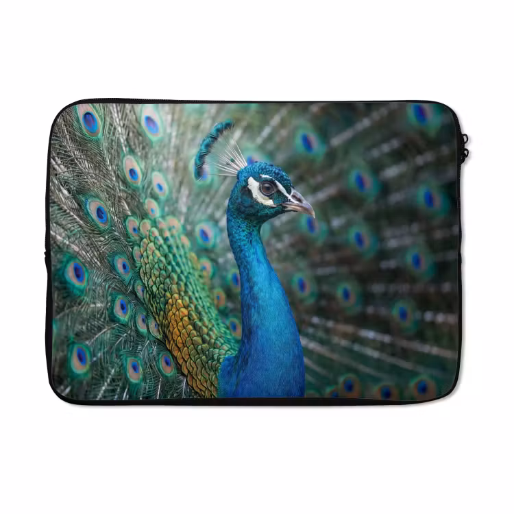 Laptophoes - Pauw - Veren - Blauw — 5