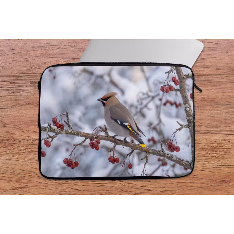 Laptophoes - Pestvogel - Bessen - Winter - Natuur — 2