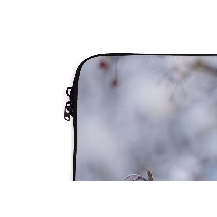 Laptophoes - Pestvogel - Bessen - Winter - Natuur — 6