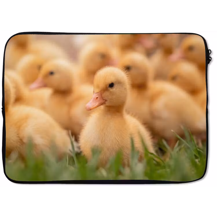 Laptophoes - Pijltje - Eend - Natuur - Geel — 1
