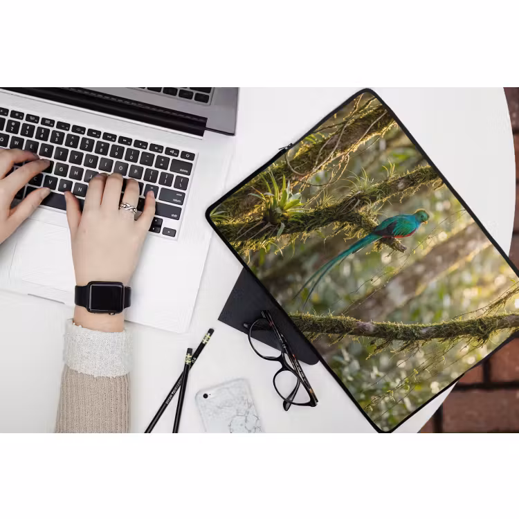 Laptophoes - Quetzal - Jungle - Natuur - Groen — 3