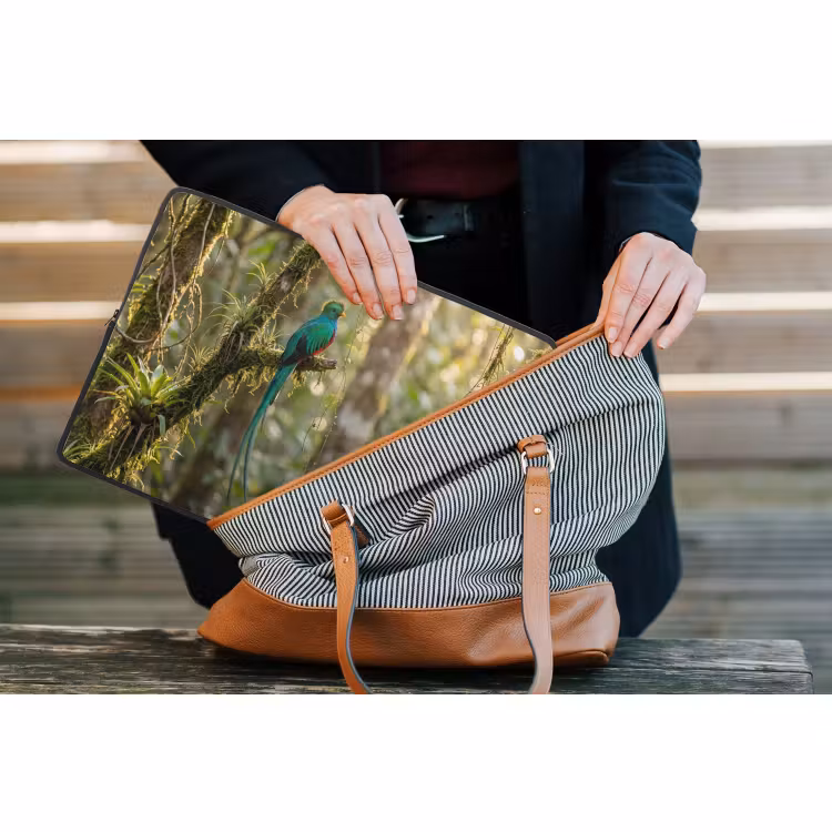 Laptophoes - Quetzal - Jungle - Natuur - Groen — 4