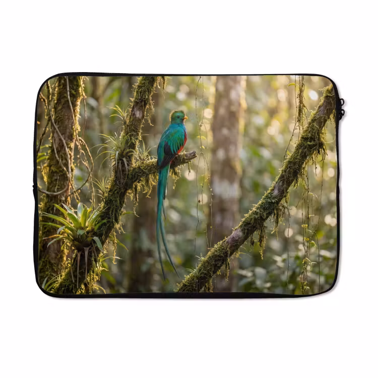 Laptophoes - Quetzal - Jungle - Natuur - Groen — 5