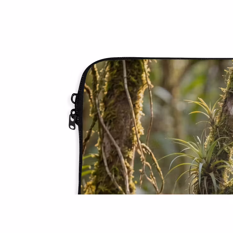 Laptophoes - Quetzal - Jungle - Natuur - Groen — 6
