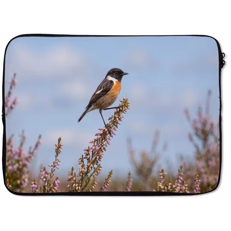 Laptophoes - Roodborsttapuit - Heide - Paars - Natuur - Sfeervol — 1