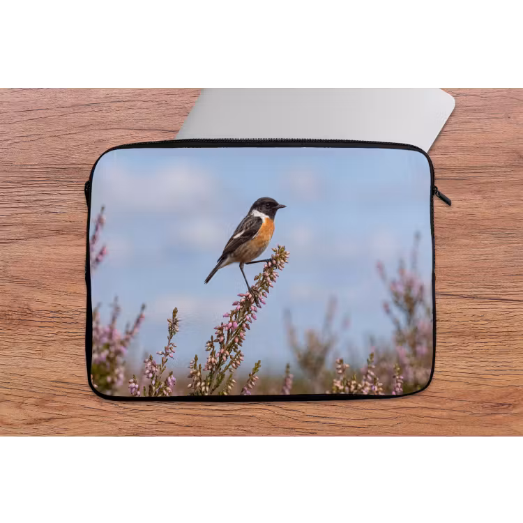 Laptophoes - Roodborsttapuit - Heide - Paars - Natuur - Sfeervol — 2