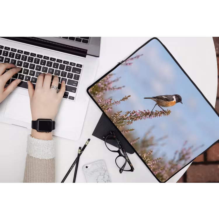 Laptophoes - Roodborsttapuit - Heide - Paars - Natuur - Sfeervol — 3