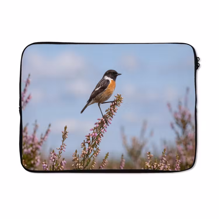 Laptophoes - Roodborsttapuit - Heide - Paars - Natuur - Sfeervol — 5