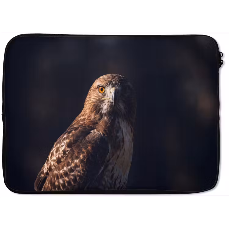 Laptophoes - Roofvogel - Buizerd - Bruin — 1