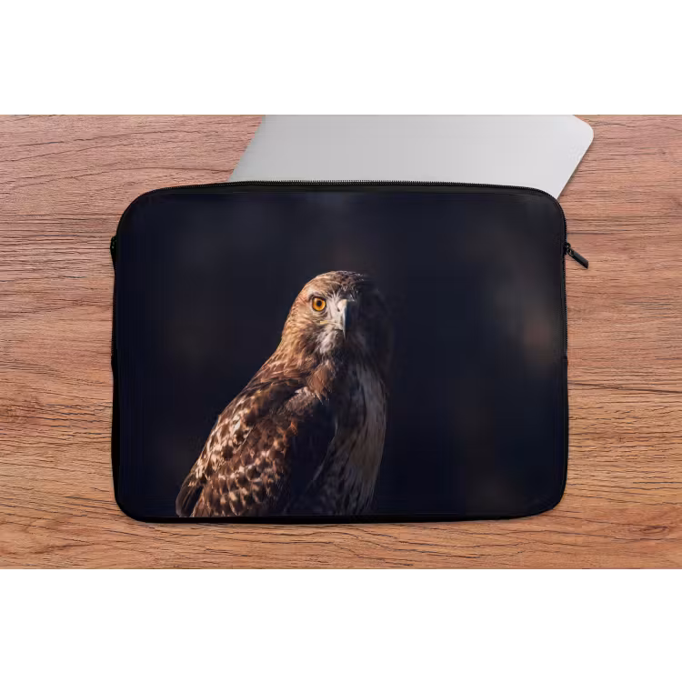 Laptophoes - Roofvogel - Buizerd - Bruin — 2