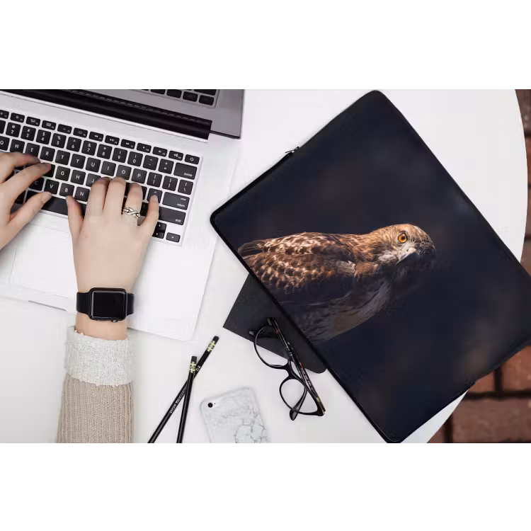 Laptophoes - Roofvogel - Buizerd - Bruin — 3