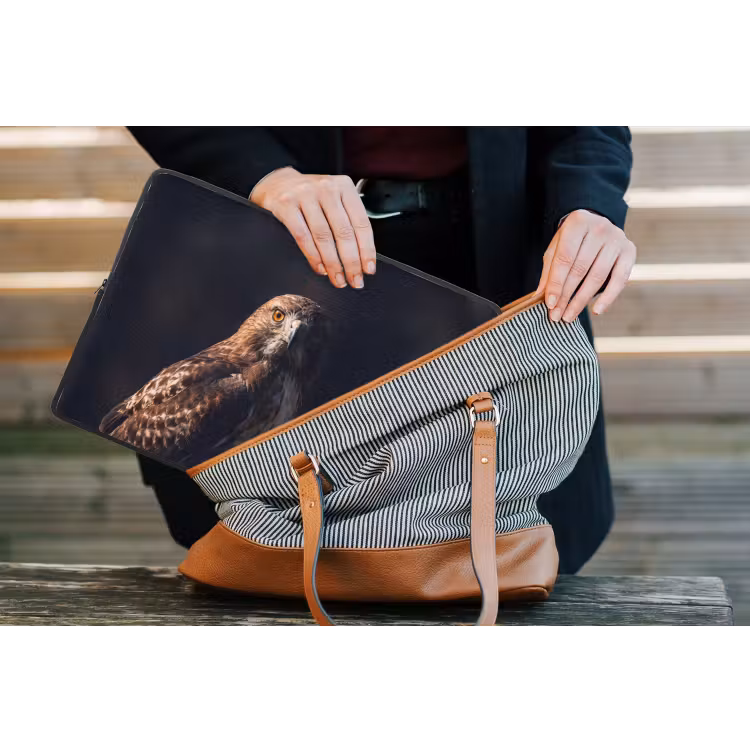 Laptophoes - Roofvogel - Buizerd - Bruin — 4