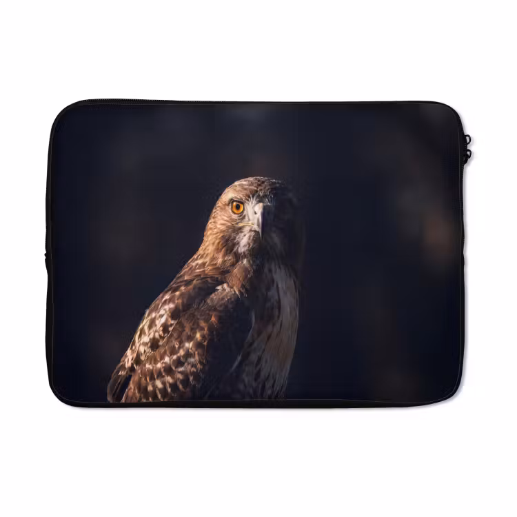 Laptophoes - Roofvogel - Buizerd - Bruin — 5