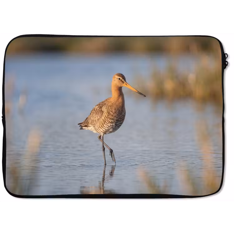 Laptophoes - Vogel - Steltloper - Water - Natuur — 1