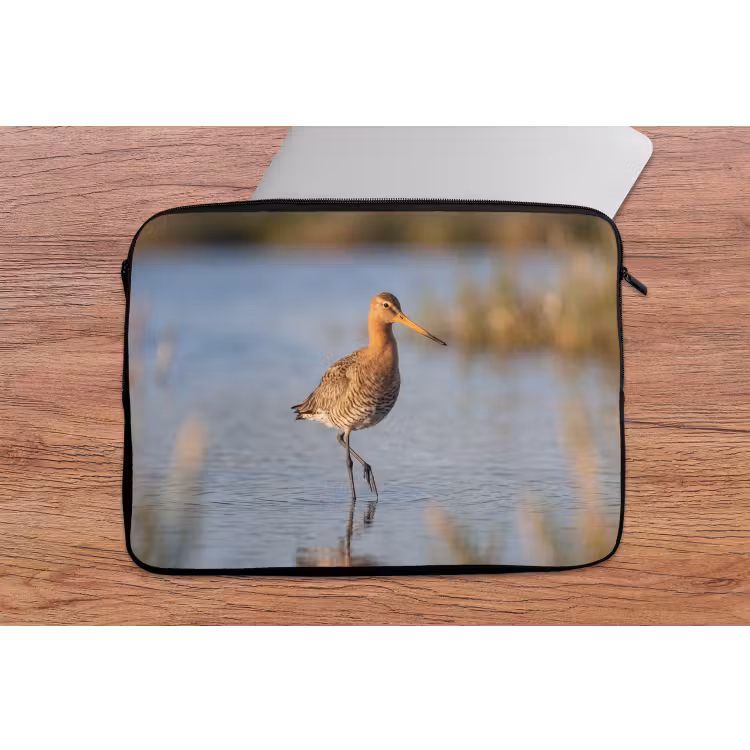 Laptophoes - Vogel - Steltloper - Water - Natuur — 2