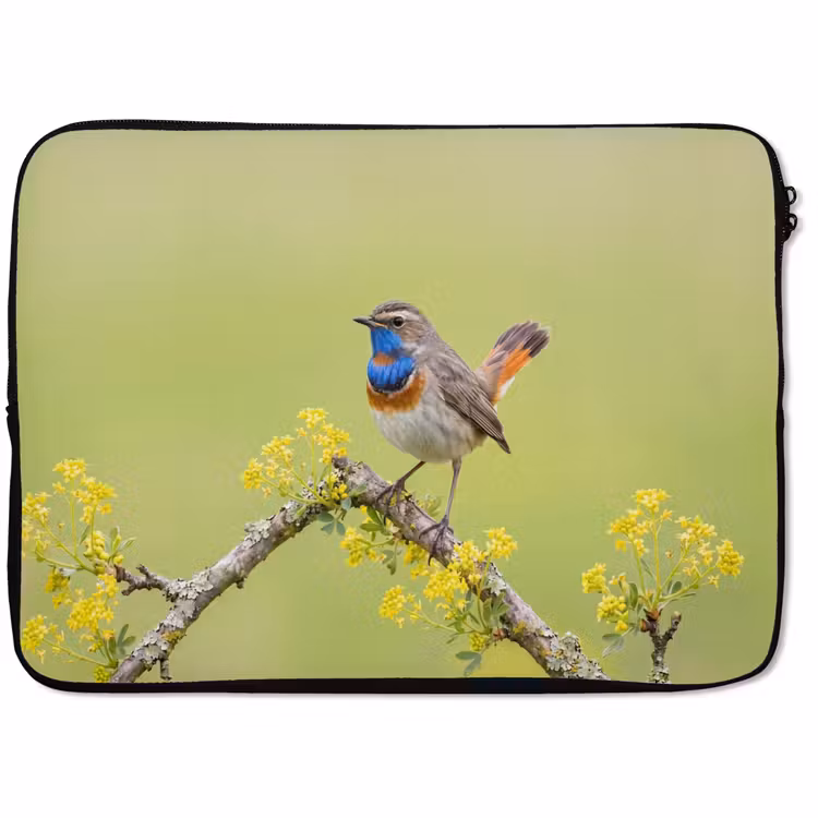 Laptophoes - Vogel - Tak - Natuur - Kleurrijk — 1