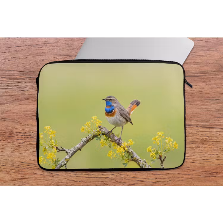 Laptophoes - Vogel - Tak - Natuur - Kleurrijk — 2