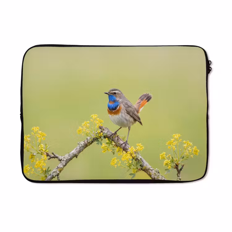 Laptophoes - Vogel - Tak - Natuur - Kleurrijk — 5