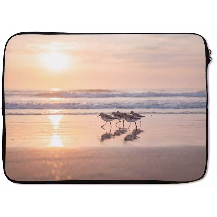 Laptophoes - Zee - Vogels - Strand — 1