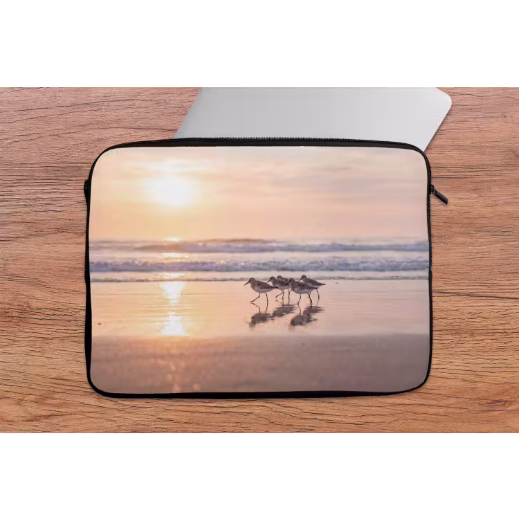 Laptophoes - Zee - Vogels - Strand — 2