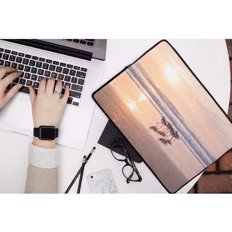 Laptophoes - Zee - Vogels - Strand — 3