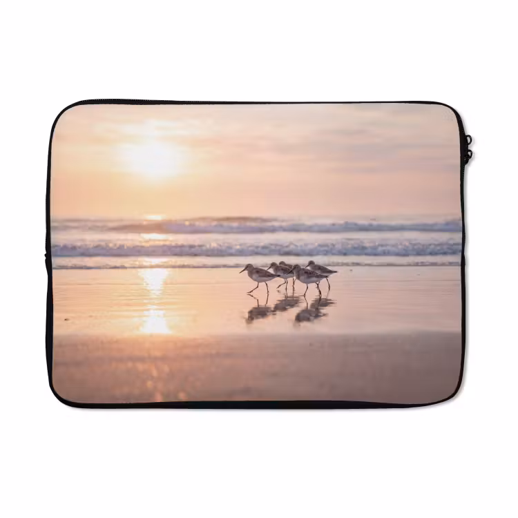 Laptophoes - Zee - Vogels - Strand — 5