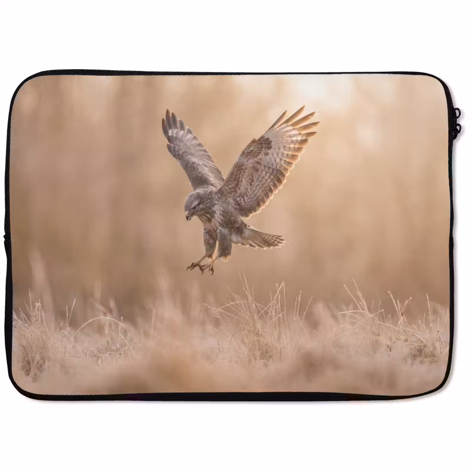Laptophoes - Buizerd - Roofvogel - Natuur - Bruin — 1