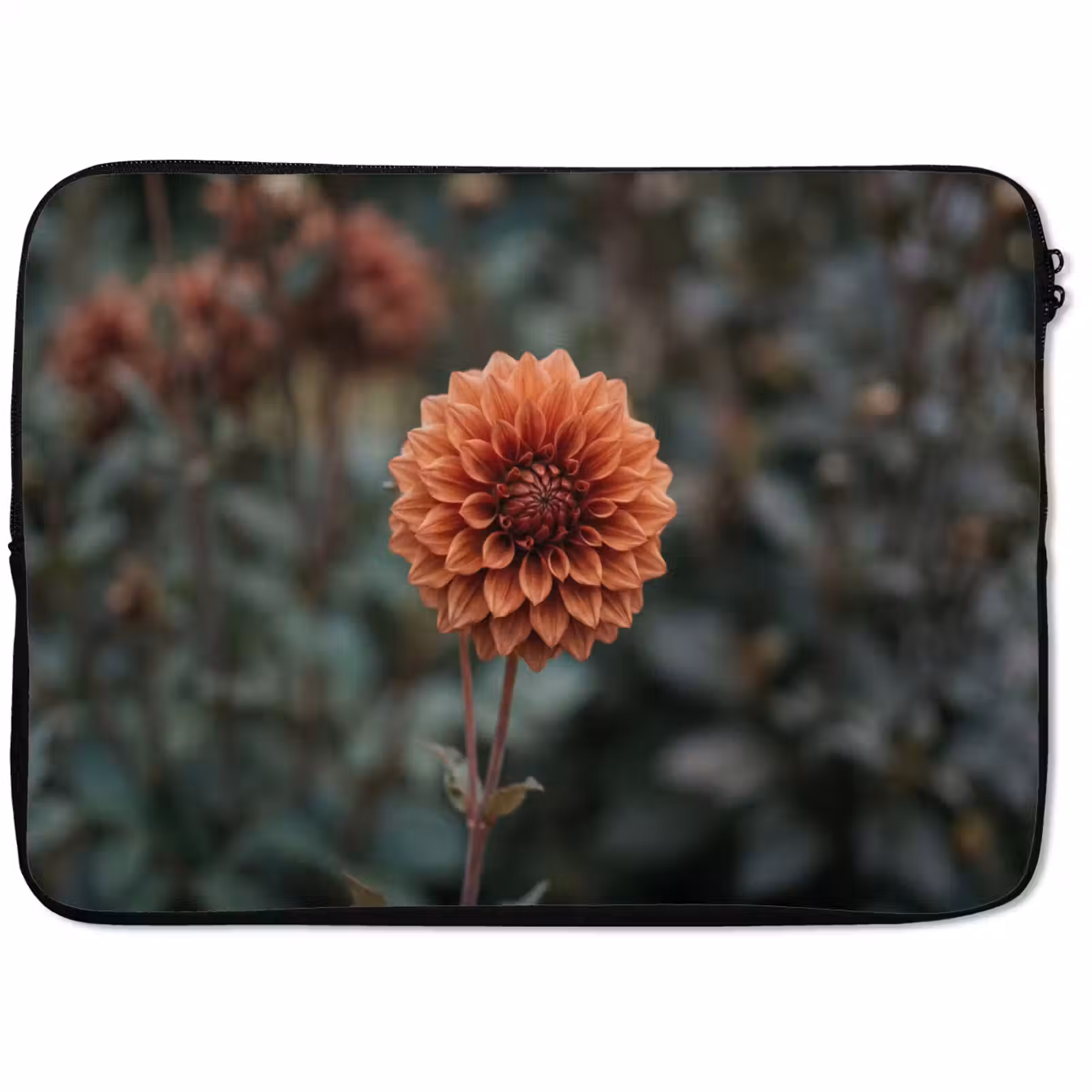 Laptophoes - Dahlia - Bloem - Natuur - Sfeervol — 1