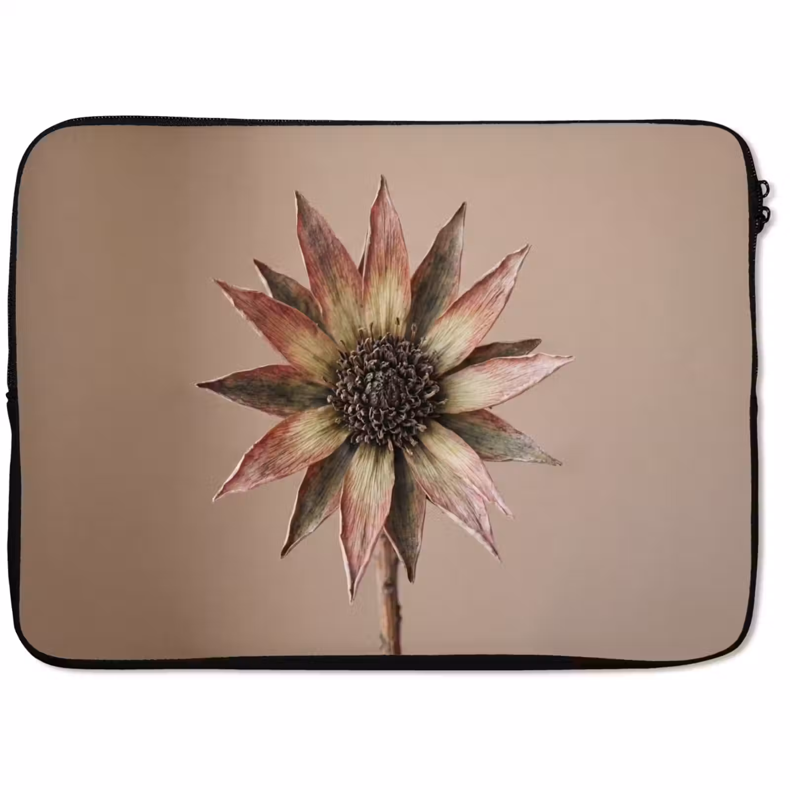Laptophoes - Droogbloem - Protea - Vintage - Beige - Rustiek — 1