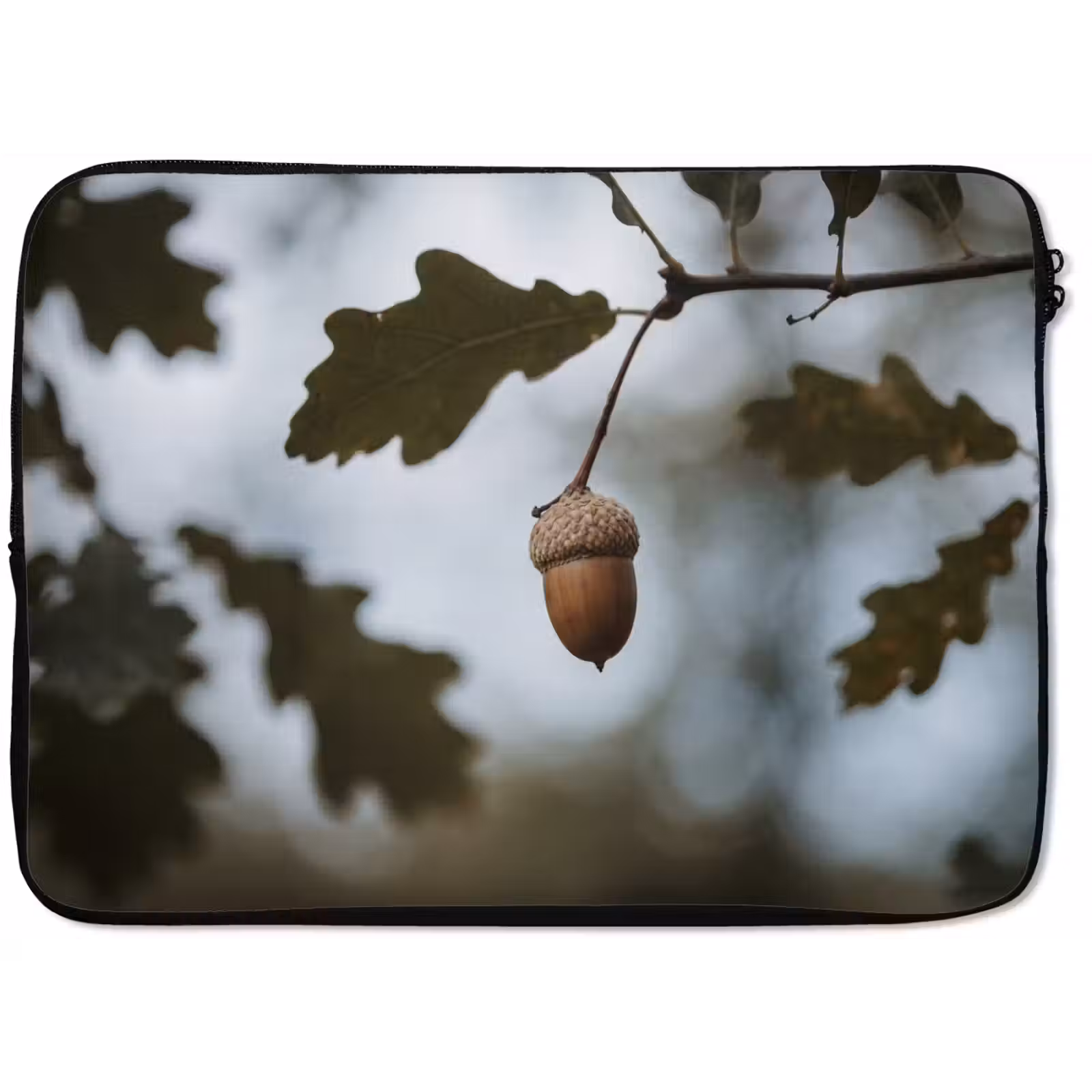 Laptophoes - Eikel - Eikenblad - Bos - Herfst - Natuur — 1