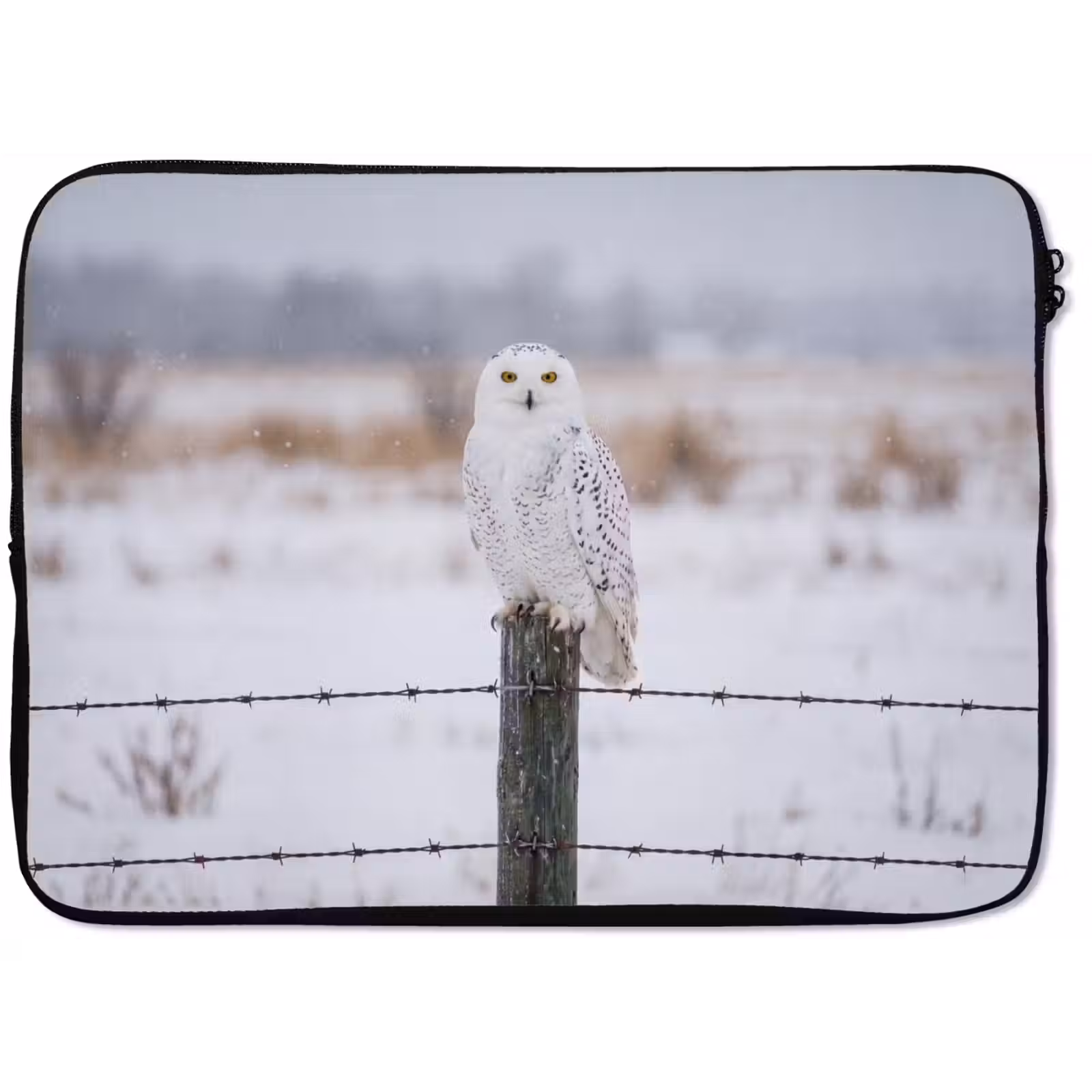 Laptophoes - Sneeuwuil - Hek - Sneeuw - Wit — 1