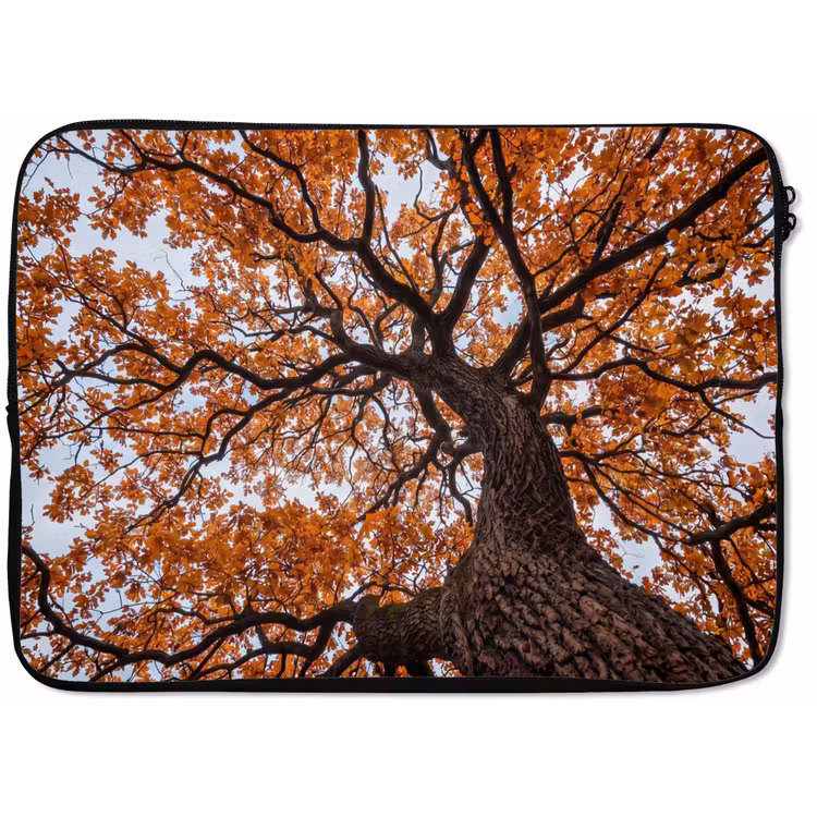 Laptophoes - Boom - Bladerdak - Herfst - Oranje - Sfeervol — 1