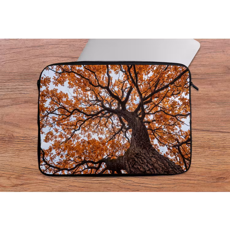Laptophoes - Boom - Bladerdak - Herfst - Oranje - Sfeervol — 2