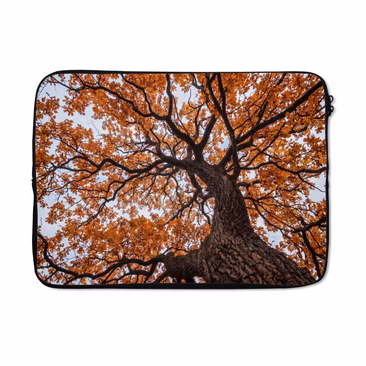 Laptophoes - Boom - Bladerdak - Herfst - Oranje - Sfeervol — 5