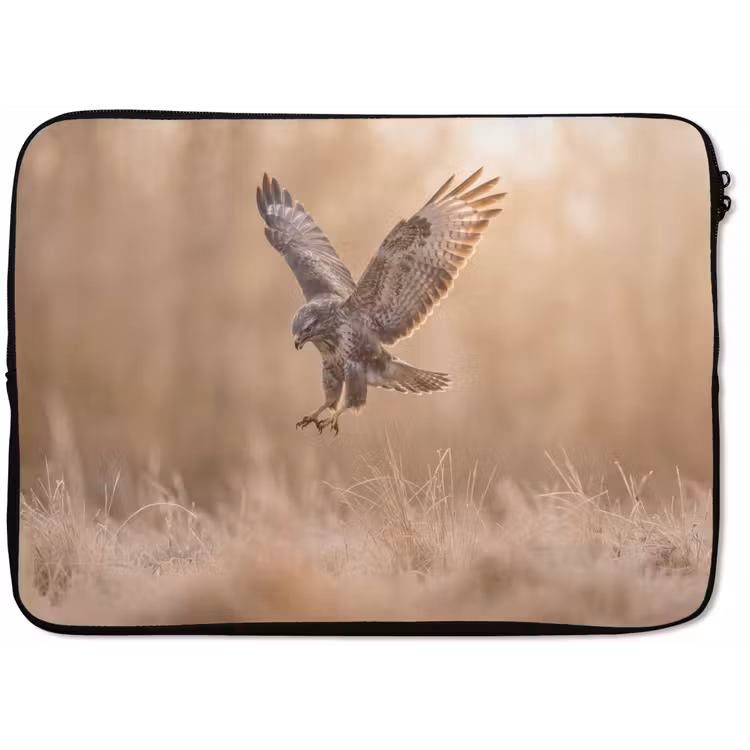 Laptophoes - Buizerd - Roofvogel - Natuur - Bruin — 1