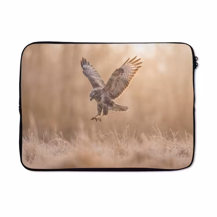 Laptophoes - Buizerd - Roofvogel - Natuur - Bruin — 5