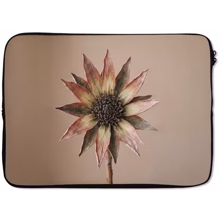 Laptophoes - Droogbloem - Protea - Vintage - Beige - Rustiek — 1