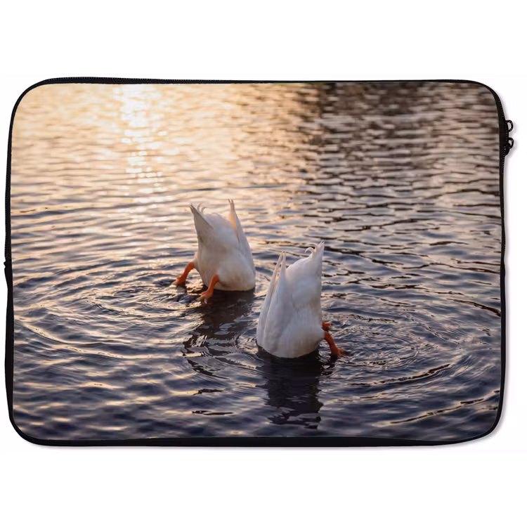 Laptophoes - Eenden - Water - Natuur — 1