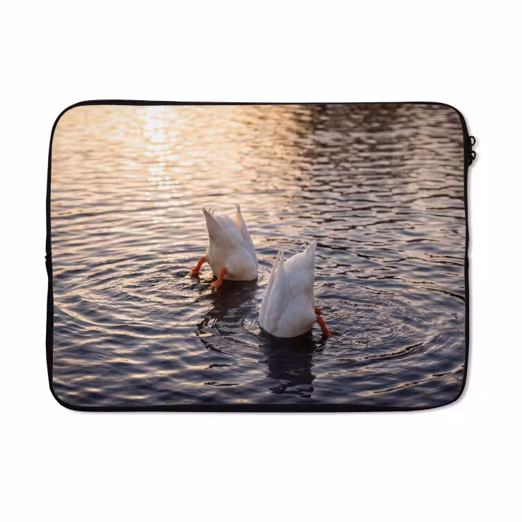 Laptophoes - Eenden - Water - Natuur — 5