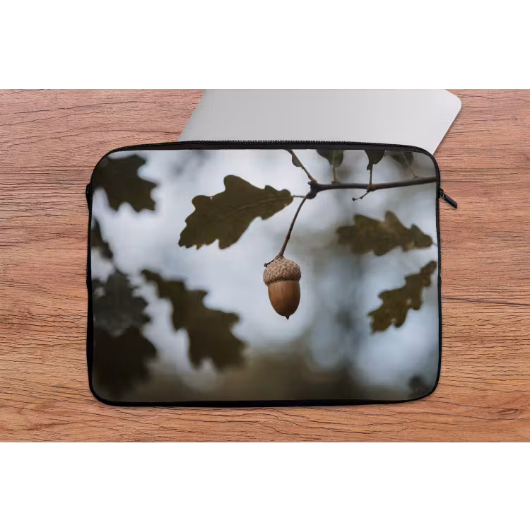 Laptophoes - Eikel - Eikenblad - Bos - Herfst - Natuur — 2