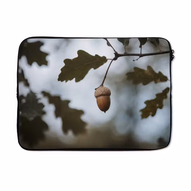 Laptophoes - Eikel - Eikenblad - Bos - Herfst - Natuur — 5