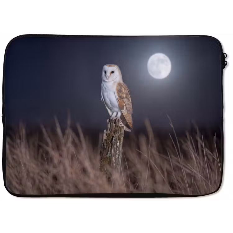 Laptophoes - Kerkuil - Maan - Nacht — 1