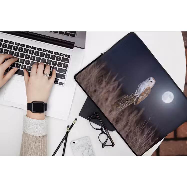 Laptophoes - Kerkuil - Maan - Nacht — 3