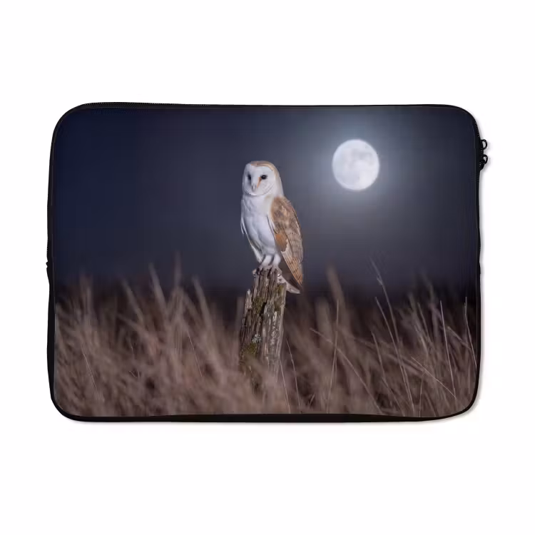 Laptophoes - Kerkuil - Maan - Nacht — 5